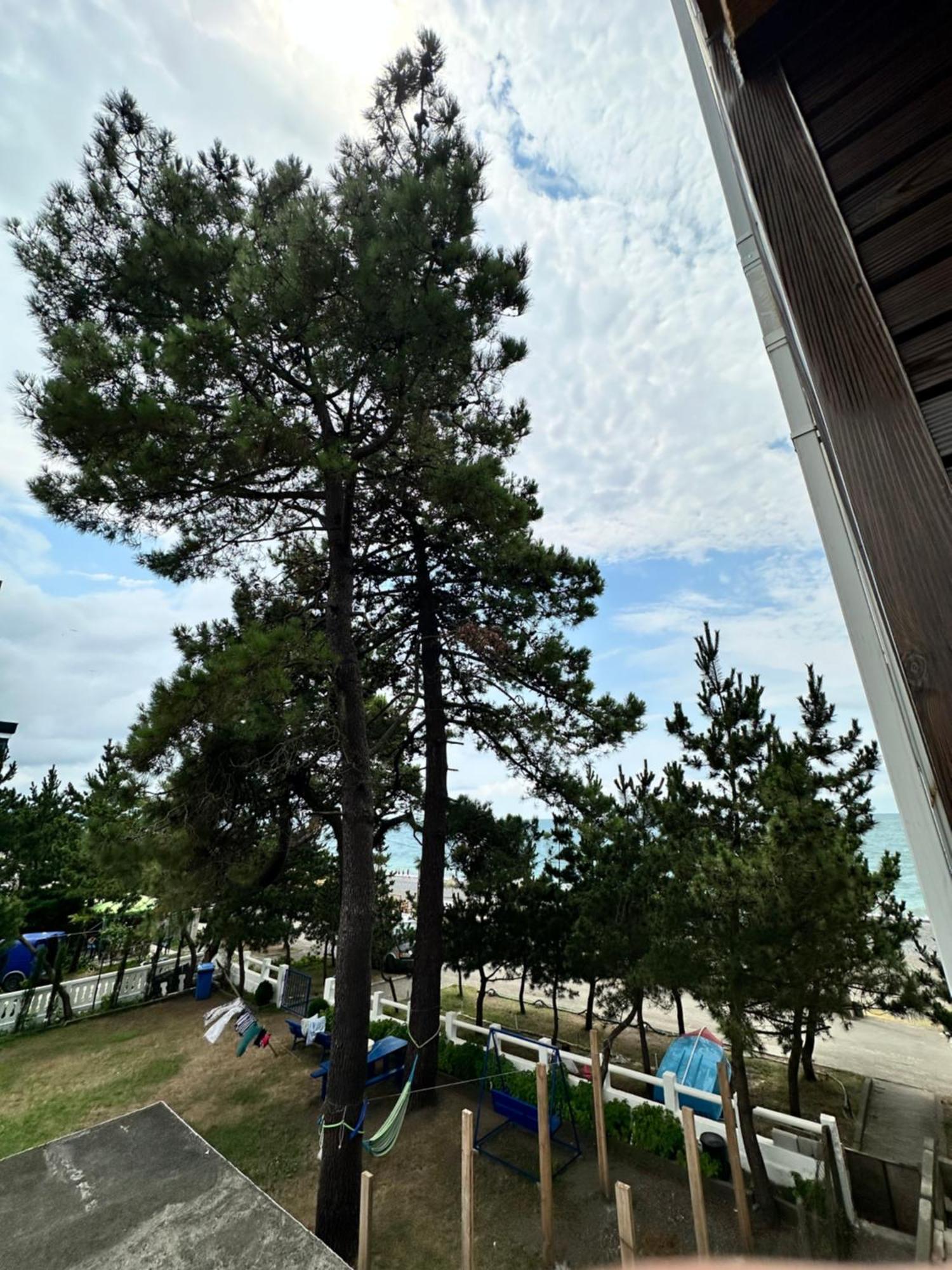 Hotel Black Sea Kobuleti Exterior photo
